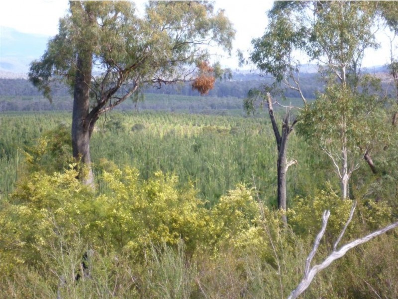 Follywood Bridport Road, Bridport TAS 7262