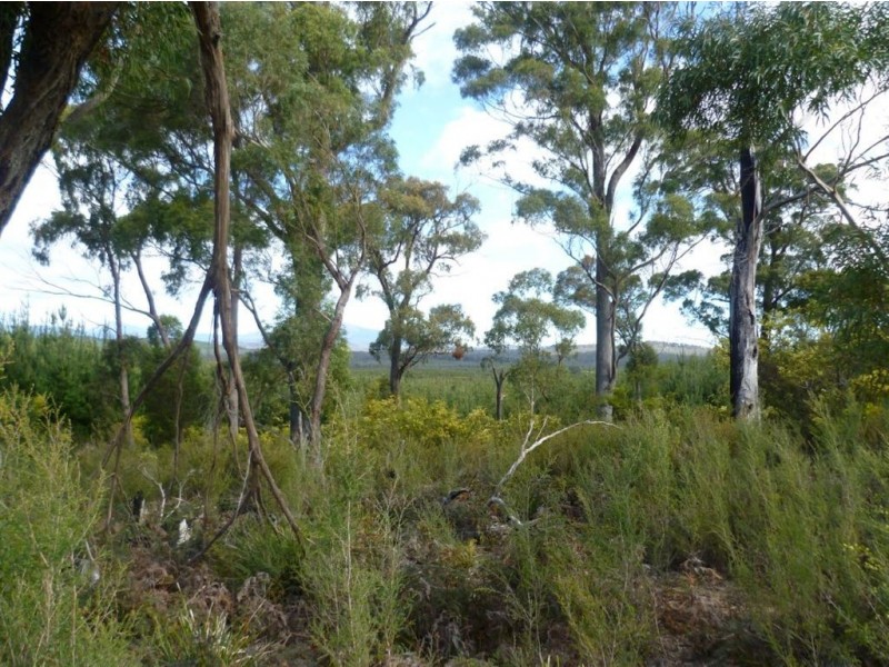 Follywood Bridport Road, Bridport TAS 7262