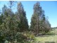 Chapple Ansons Bay Road, St Helens TAS 7216