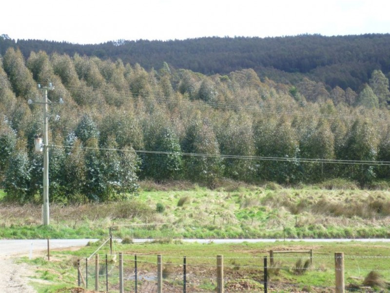 Wilmot Plantation block, Winters Road, Wilmot TAS 7310