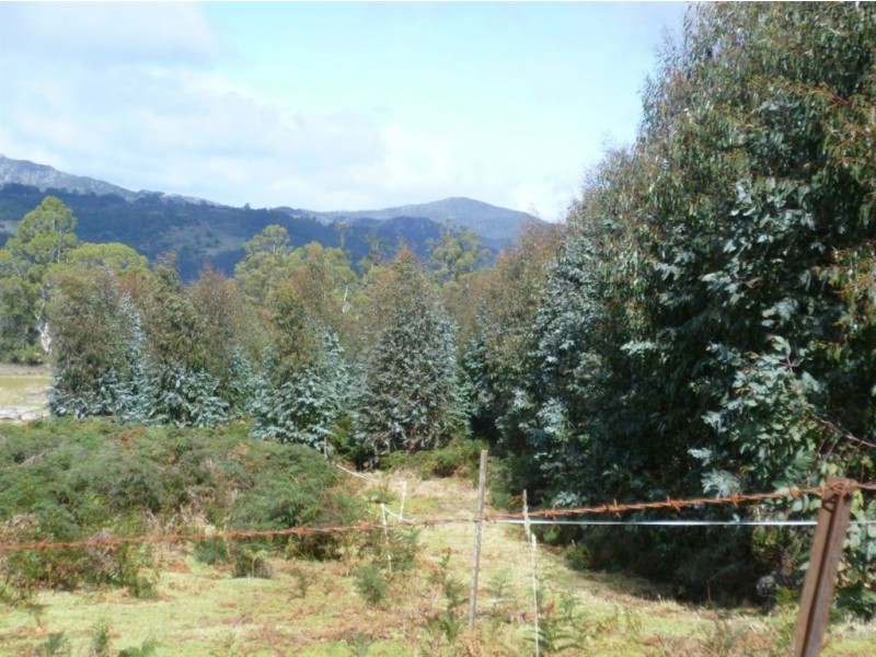 Wilmot Plantation block, Winters Road, Wilmot TAS 7310