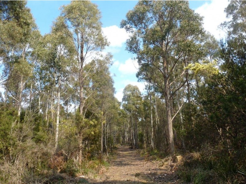 Priestleys Lane, Birralee TAS 7303