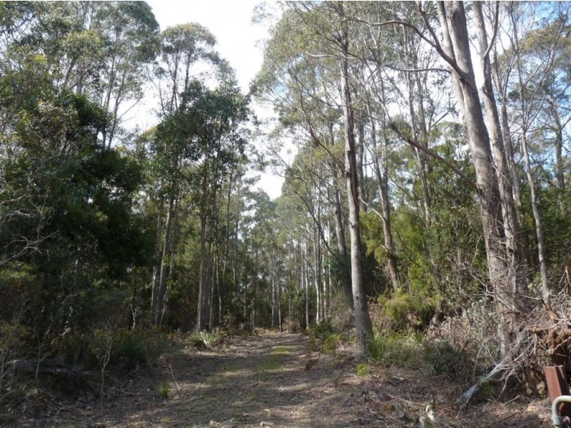 Priestleys Lane, Birralee TAS 7303