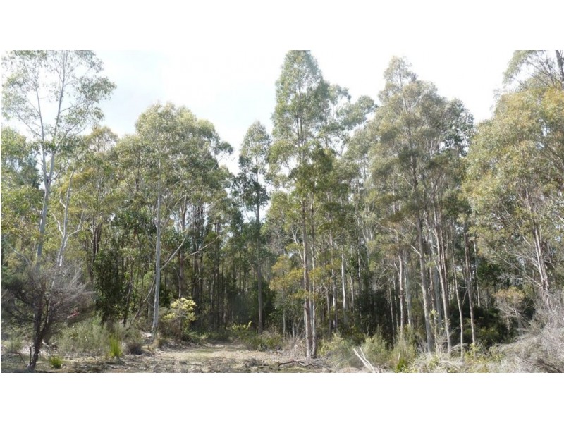 Priestleys Lane, Birralee TAS 7303