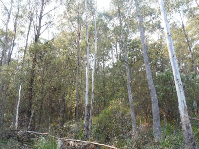 Priestleys Lane, Birralee TAS 7303