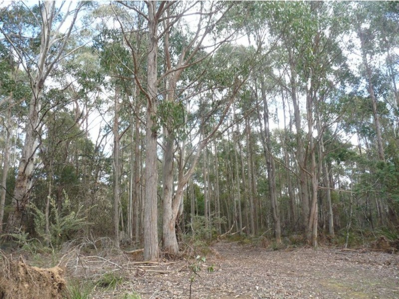 Priestleys Lane, Birralee TAS 7303
