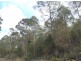 Priestleys Lane, Birralee TAS 7303