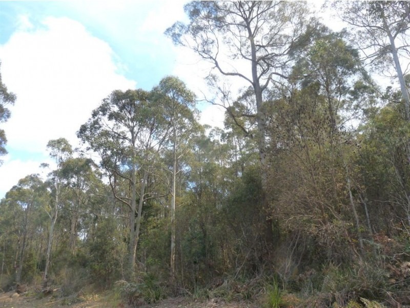 Priestleys Lane, Birralee TAS 7303