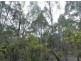 Priestleys Lane, Birralee TAS 7303