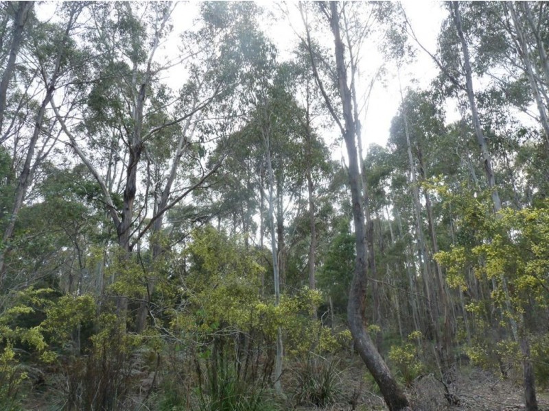 Priestleys Lane, Birralee TAS 7303