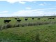 141 Tomahawk Road, Tomahawk TAS 7262