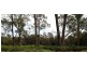 Brocklesby Bush, Elphinstone Road, Cressy TAS 7302