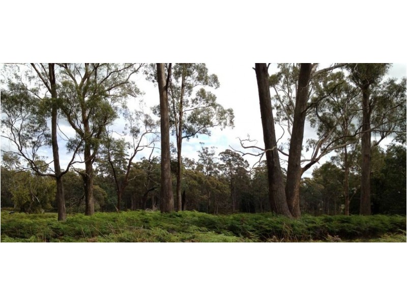 Brocklesby Bush, Elphinstone Road, Cressy TAS 7302
