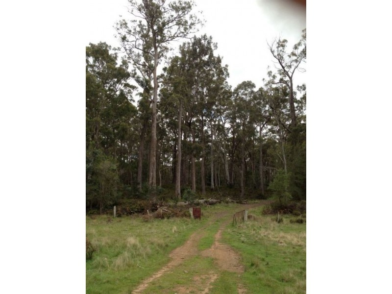 Brocklesby Bush, Elphinstone Road, Cressy TAS 7302