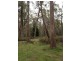Brocklesby Bush, Elphinstone Road, Cressy TAS 7302