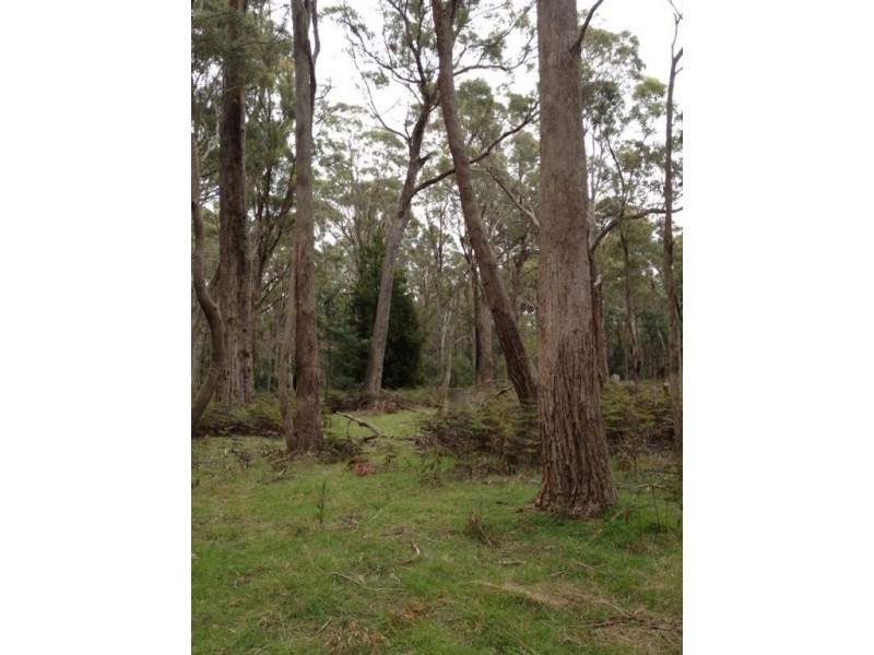 Brocklesby Bush, Elphinstone Road, Cressy TAS 7302