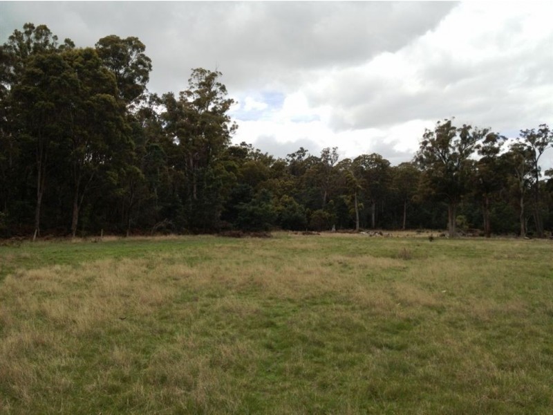 Brocklesby Bush, Elphinstone Road, Cressy TAS 7302