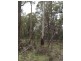 Brocklesby Bush, Elphinstone Road, Cressy TAS 7302
