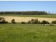 314 Greens Beach Road, Beaconsfield TAS 7270