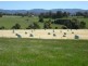 314 Greens Beach Road, Beaconsfield TAS 7270