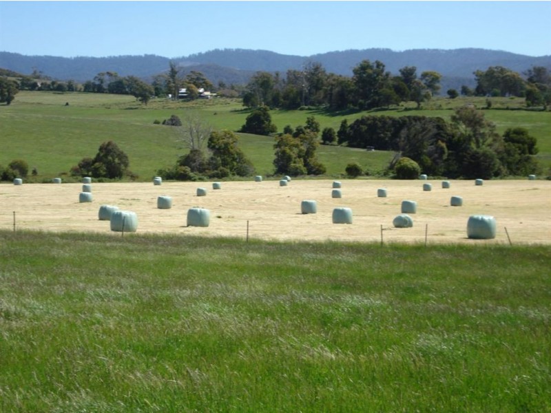 314 Greens Beach Road, Beaconsfield TAS 7270