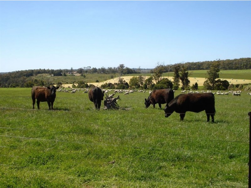 314 Greens Beach Road, Beaconsfield TAS 7270