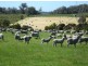 314 Greens Beach Road, Beaconsfield TAS 7270