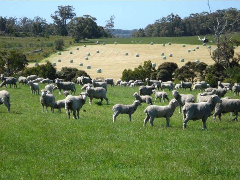 314 Greens Beach Road, Beaconsfield TAS 7270