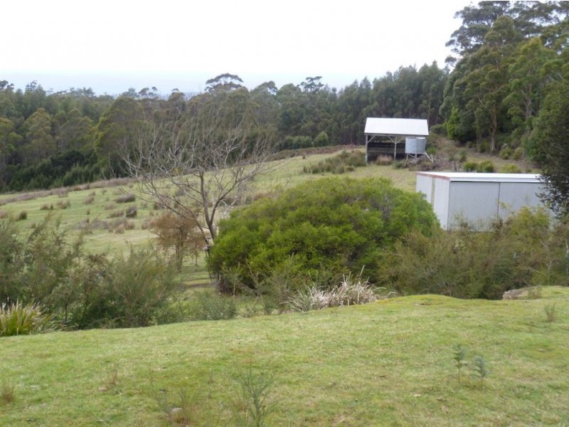 59 Yelton View Road, Notley Hills TAS 7275