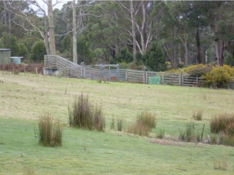 59 Yelton View Road, Notley Hills TAS 7275