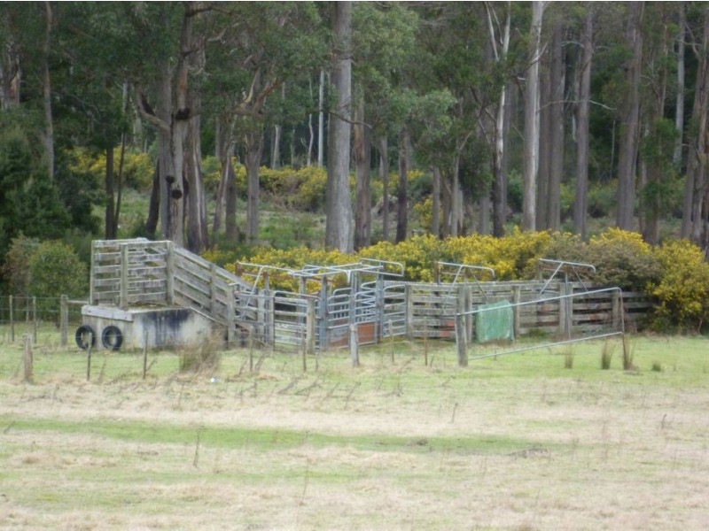 59 Yelton View Road, Notley Hills TAS 7275