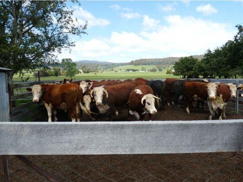 Sheene Osmaston Road, Deloraine TAS 7304