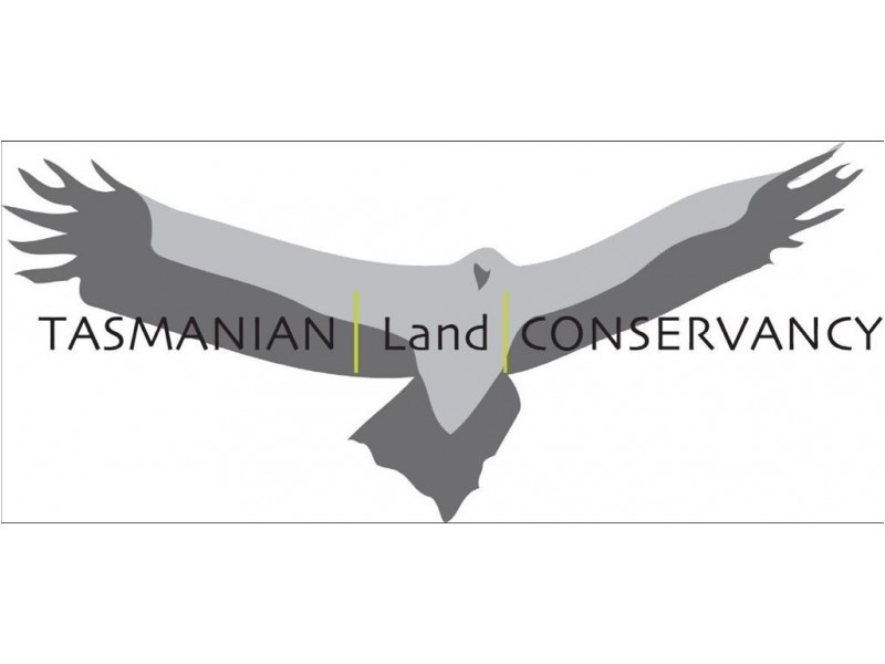 Epping Forest TAS 7211