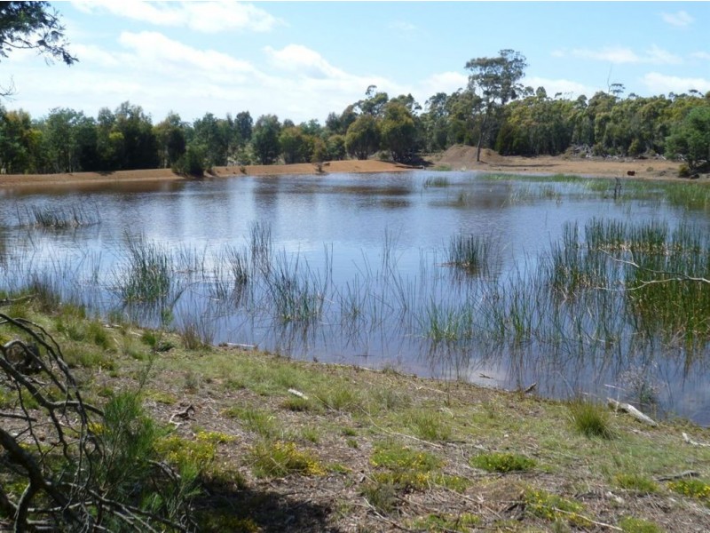 Epping Forest TAS 7211