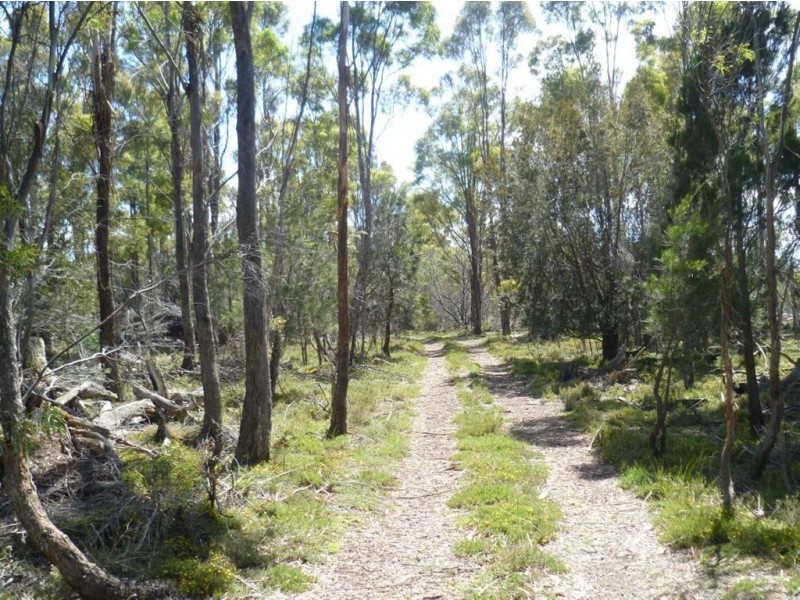 Epping Forest TAS 7211