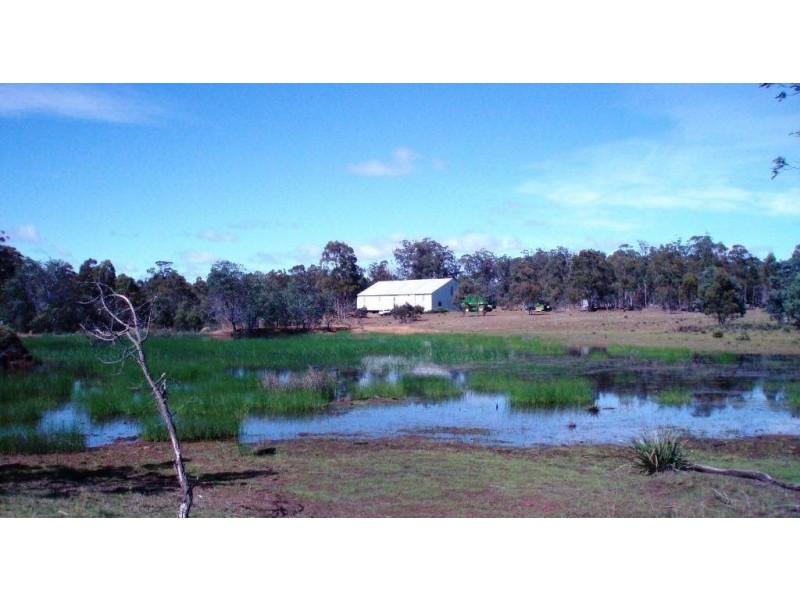 Epping Forest TAS 7211