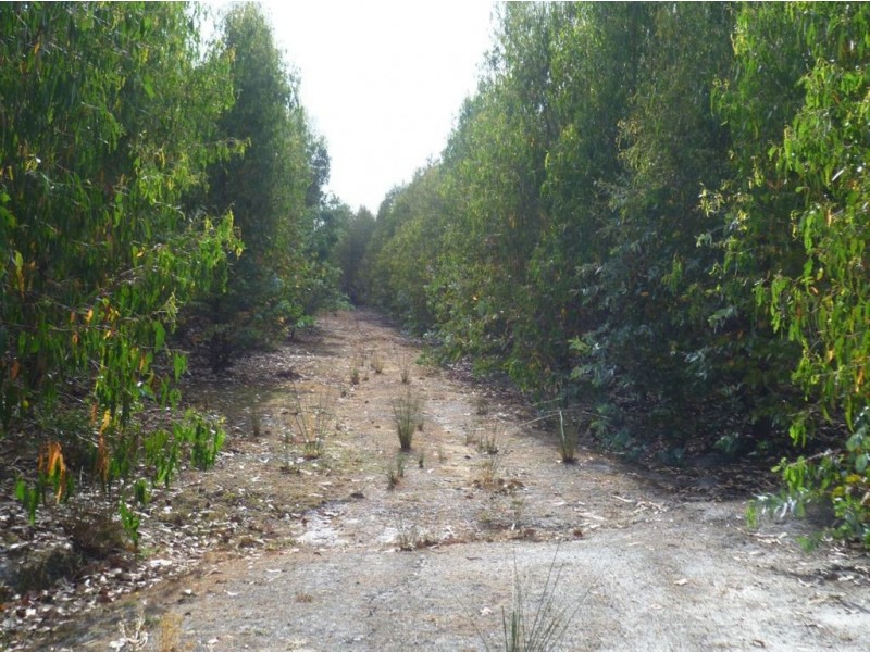 Auburn Road, Beaconsfield TAS 7270