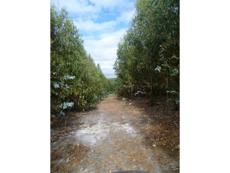 Auburn Road, Beaconsfield TAS 7270