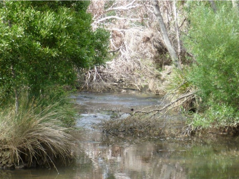 Auburn Road, Beaconsfield TAS 7270
