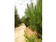 Shaws Road, Bridgenorth TAS 7277