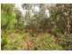 Shaws Road, Bridgenorth TAS 7277