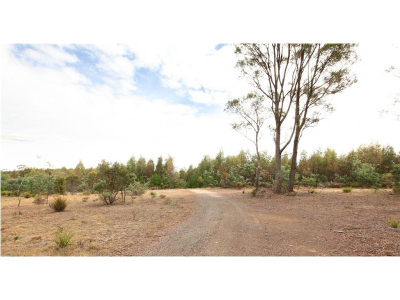 Shaws Road, Bridgenorth TAS 7277