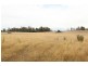 Shaws Road, Bridgenorth TAS 7277
