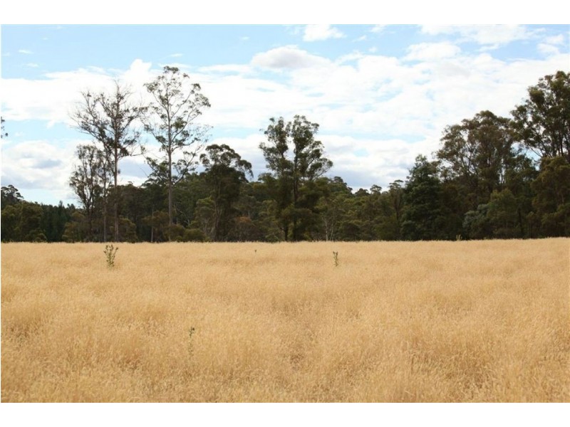Shaws Road, Bridgenorth TAS 7277