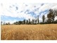 Shaws Road, Bridgenorth TAS 7277