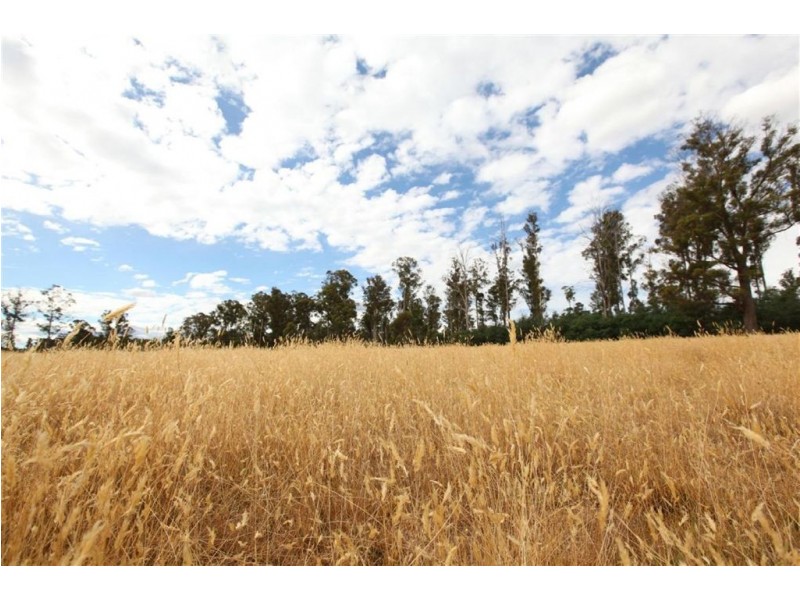 Shaws Road, Bridgenorth TAS 7277