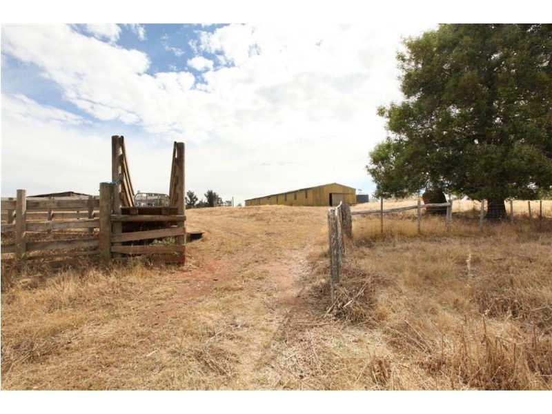 Shaws Road, Bridgenorth TAS 7277