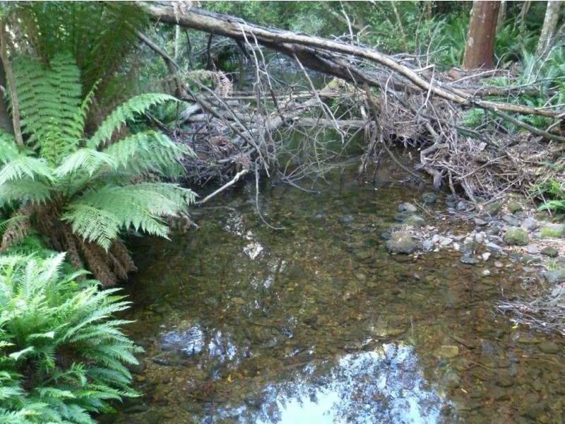 The Nook Lot 3, Lot 5, Nook Road, Nabowla TAS 7260