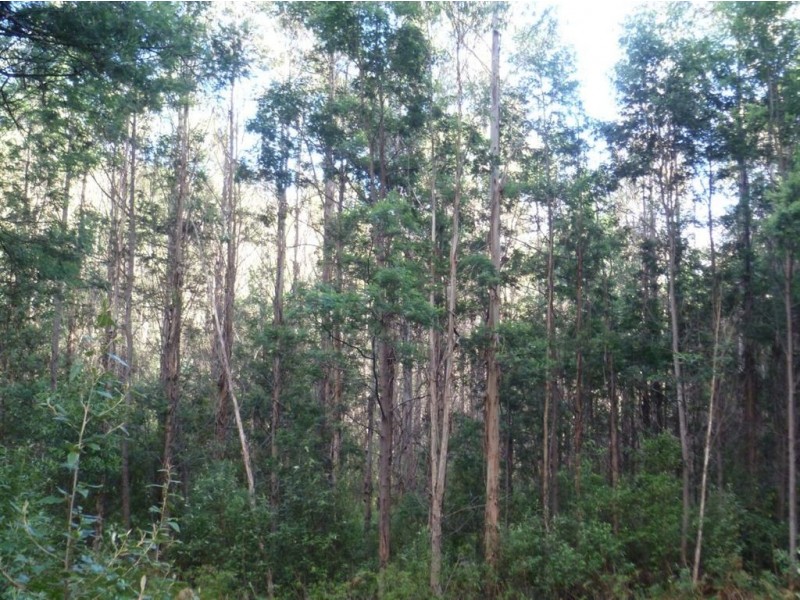 The Nook Lot 3, Lot 5, Nook Road, Nabowla TAS 7260