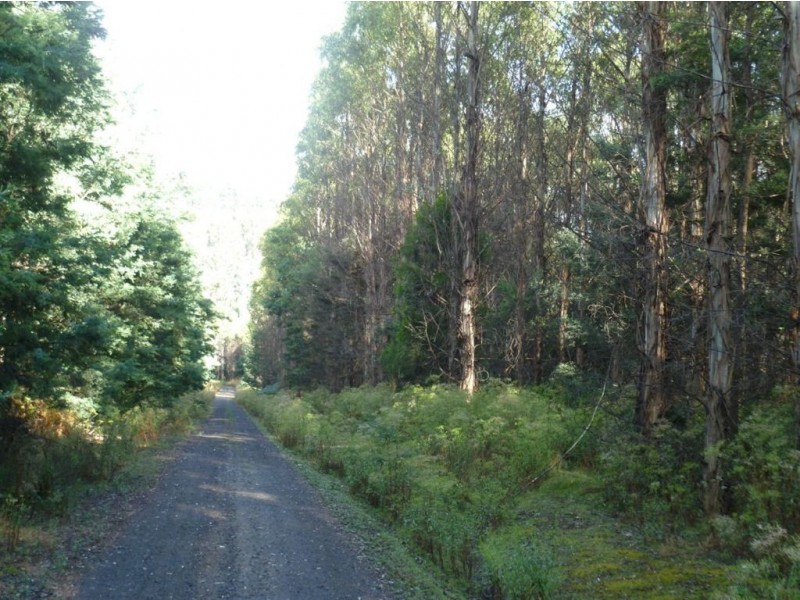 The Nook Lot 3, Lot 5, Nook Road, Nabowla TAS 7260